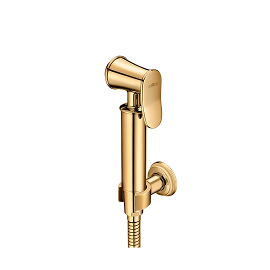 Sprayer W/Hose & Fixed Wall Bracket